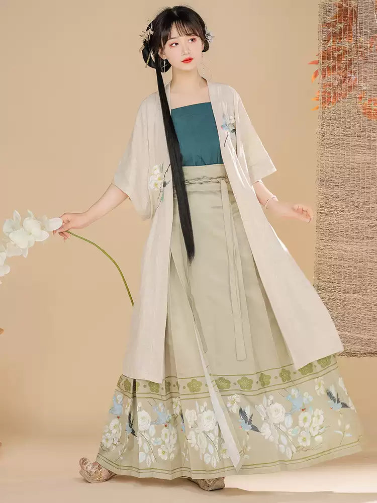 Song Dynasty Hanfu Dress witn with Floral Embroidery