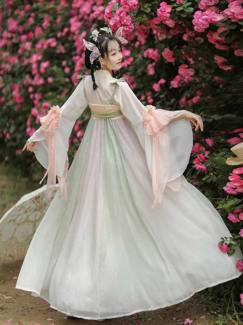 Elegant Tang Dynasty Hanfu Dress for Women with Floral Embroidery