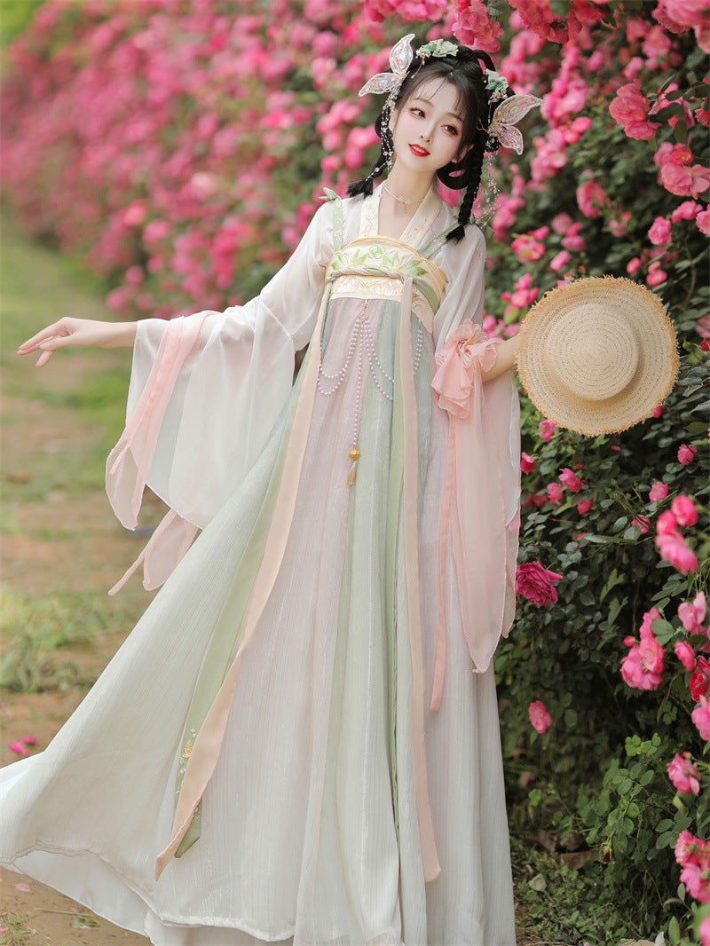 Elegant Tang Dynasty Hanfu Dress for Women with Floral Embroidery