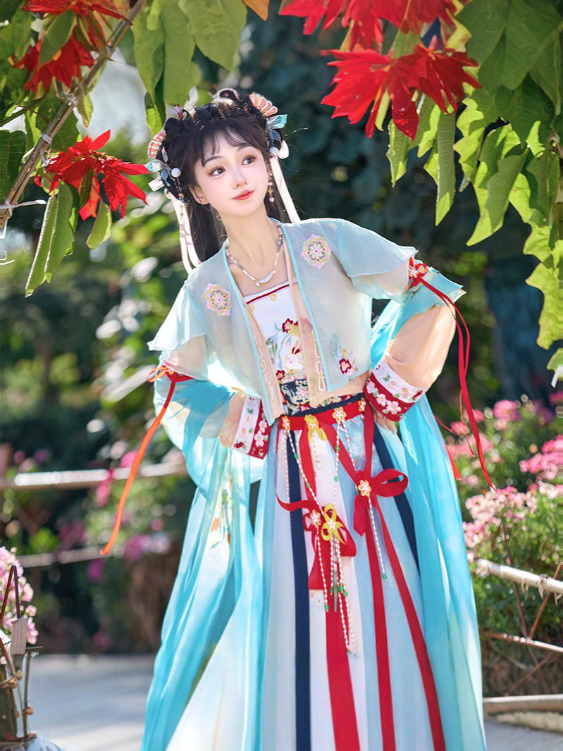 Elegant Floral Embroidered Song Dynasty Hanfu Dress