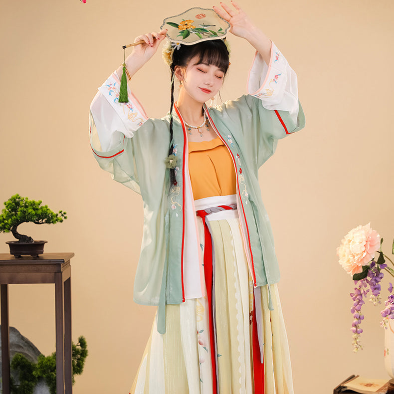 Elegant Embroidered Hanfu Dress Set Traditional Song Dynasty Hanfu Outfit