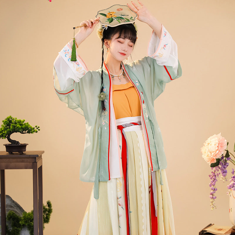 Elegant Embroidered Hanfu Dress Set Traditional Song Dynasty Hanfu Outfit