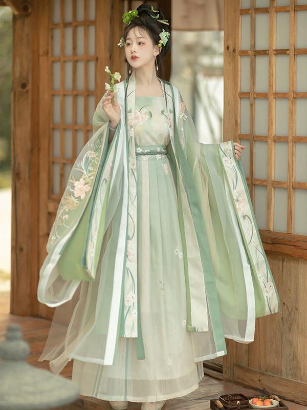 Song Dynasty Hanfu Dress - Traditional Chinese Long Sleeve Gown with Embroidery
