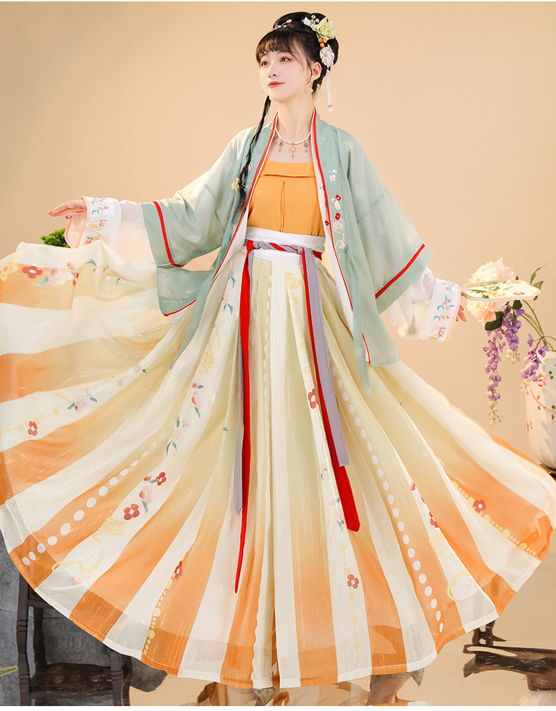 Elegant Embroidered Hanfu Dress Set Traditional Song Dynasty Hanfu Outfit