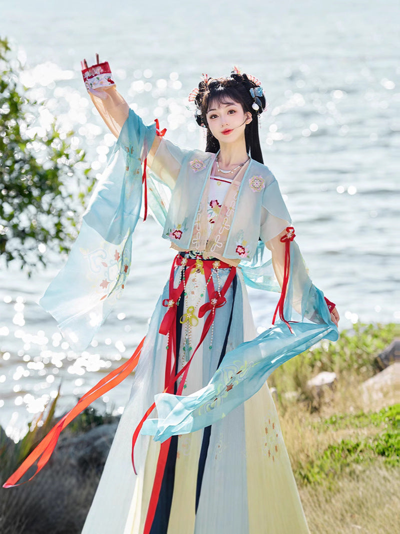 Elegant Floral Embroidered Song Dynasty Hanfu Dress