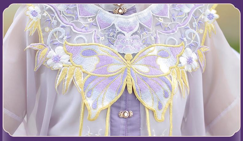 Elegant Butterfly Embroidered Hanfu Dress – Flowing Chiffon Traditional Chinese Outfit