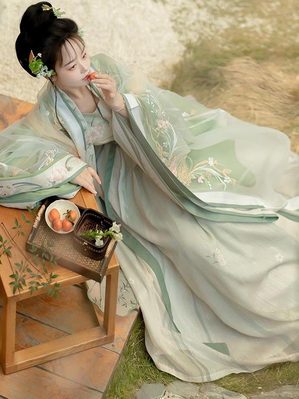 Song Dynasty Hanfu Dress - Traditional Chinese Long Sleeve Gown with Embroidery