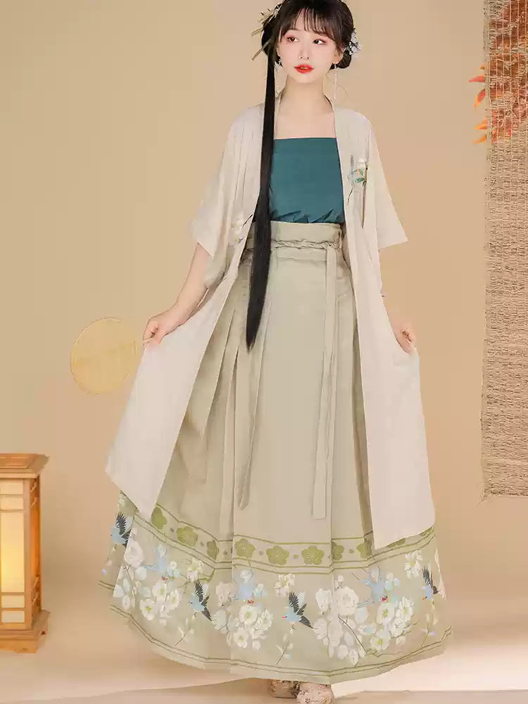 Song Dynasty Hanfu Dress witn with Floral Embroidery