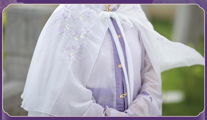 Elegant Butterfly Embroidered Hanfu Dress – Flowing Chiffon Traditional Chinese Outfit
