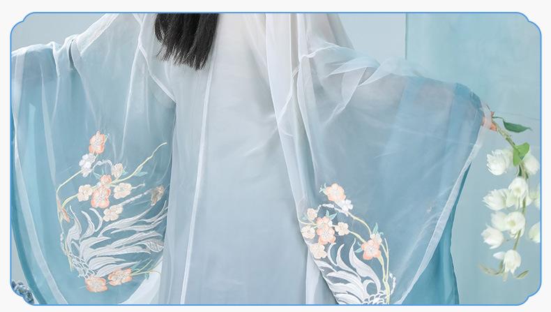 Flowing Chiffon Chinese Traditional Outfit Song Dynasty Hanfu Dress
