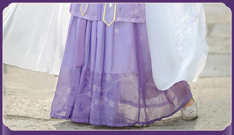 Elegant Butterfly Embroidered Hanfu Dress – Flowing Chiffon Traditional Chinese Outfit