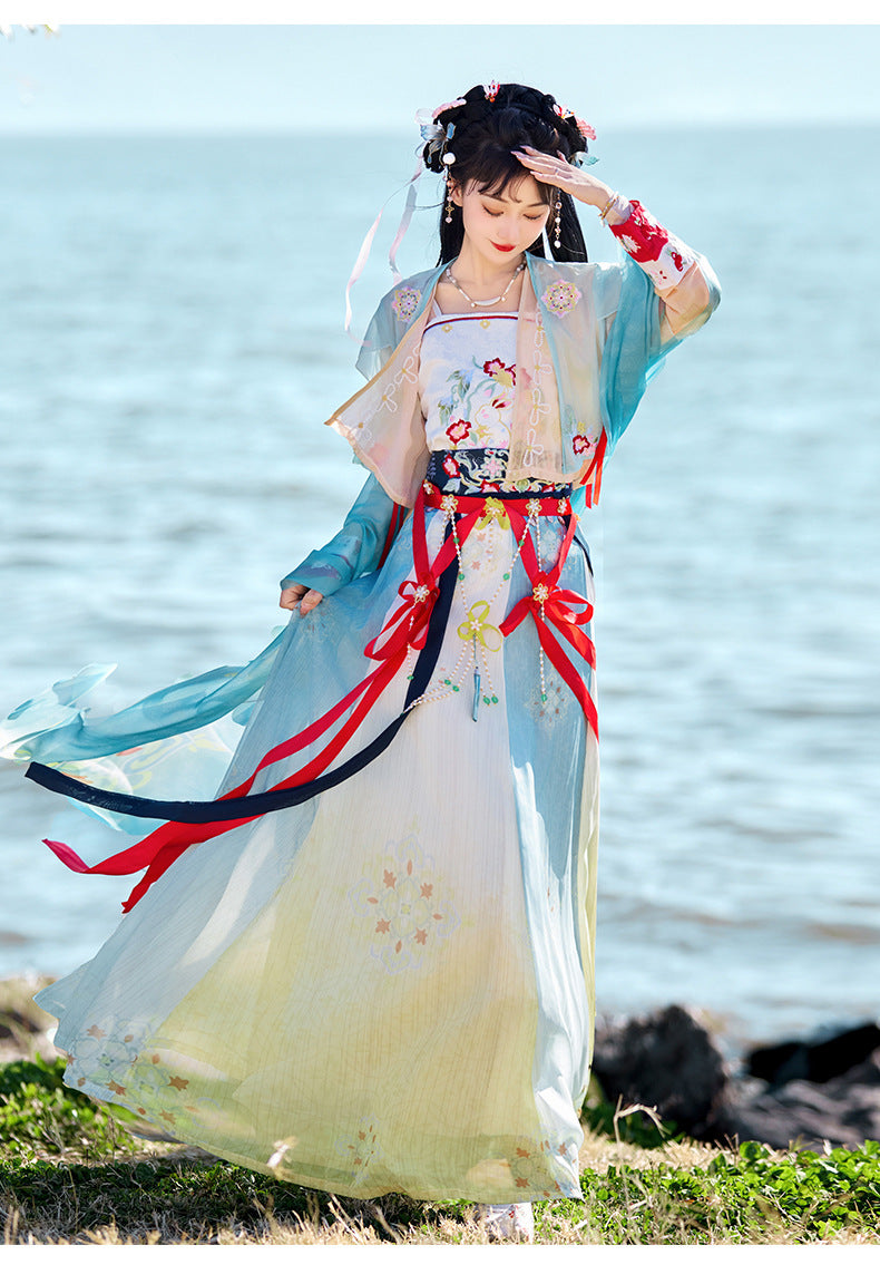Elegant Floral Embroidered Song Dynasty Hanfu Dress