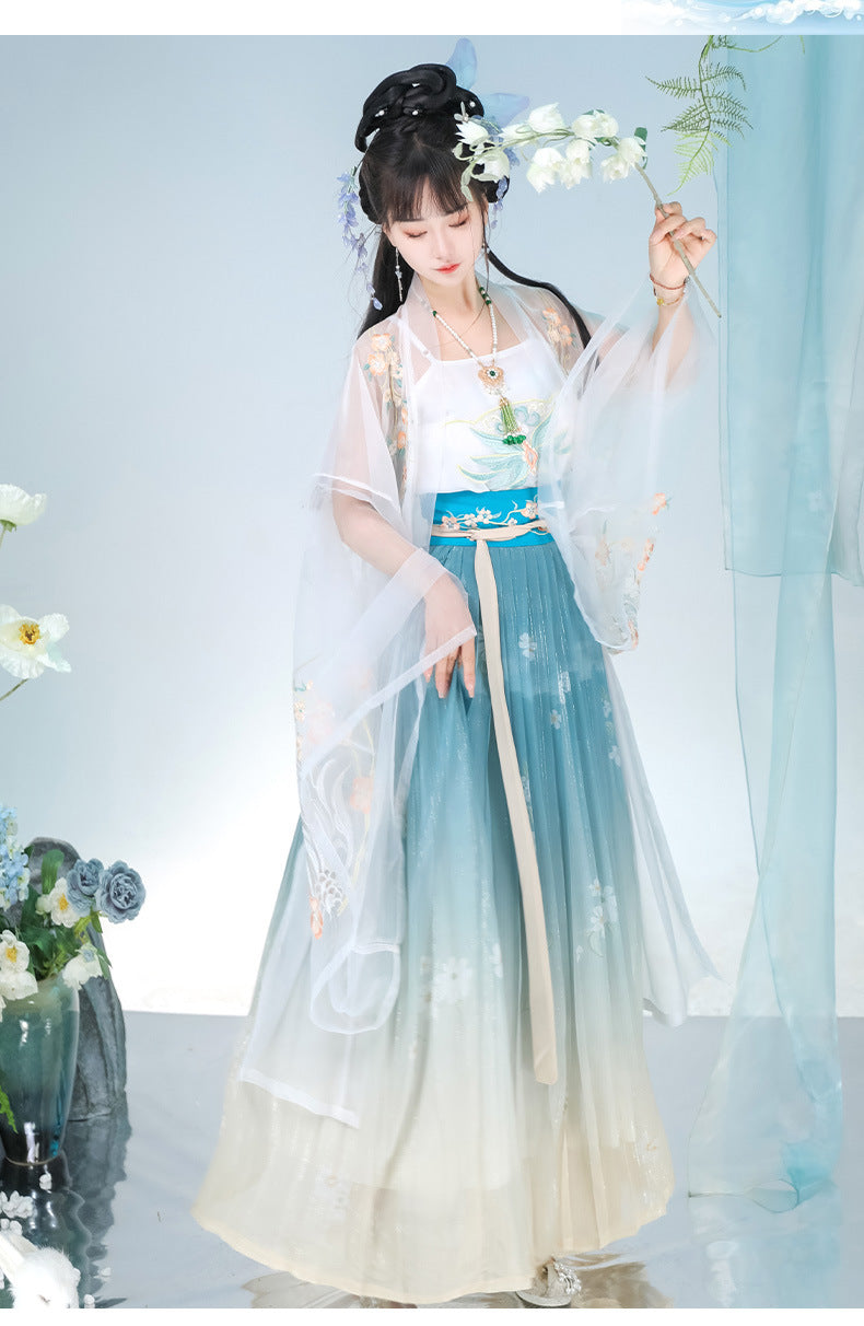Flowing Chiffon Chinese Traditional Outfit Song Dynasty Hanfu Dress