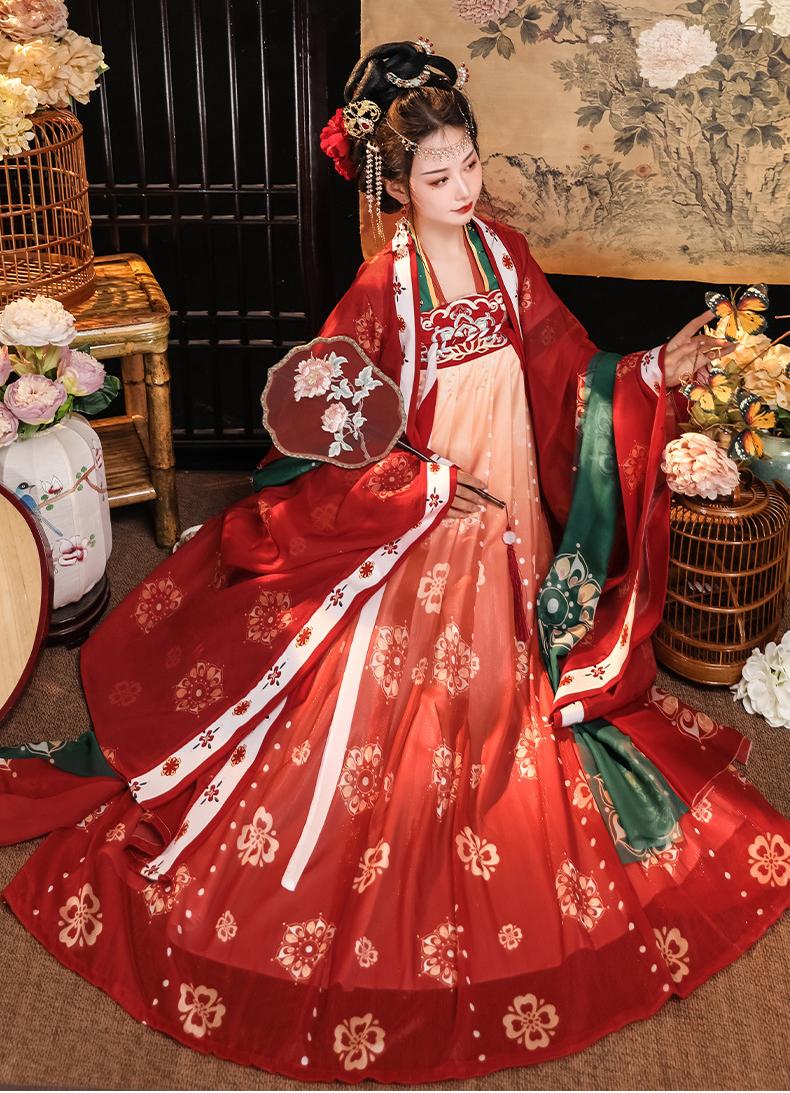 Elegant Tang Dynasty Hanfu Dress Traditional Chinese Costume for Women