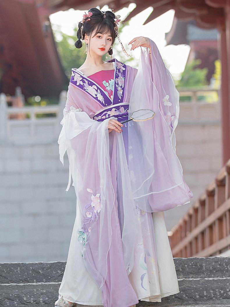 Elegant Tang Dynasty Hanfu Dress – Flowing Chiffon Gown with Embroidered Details