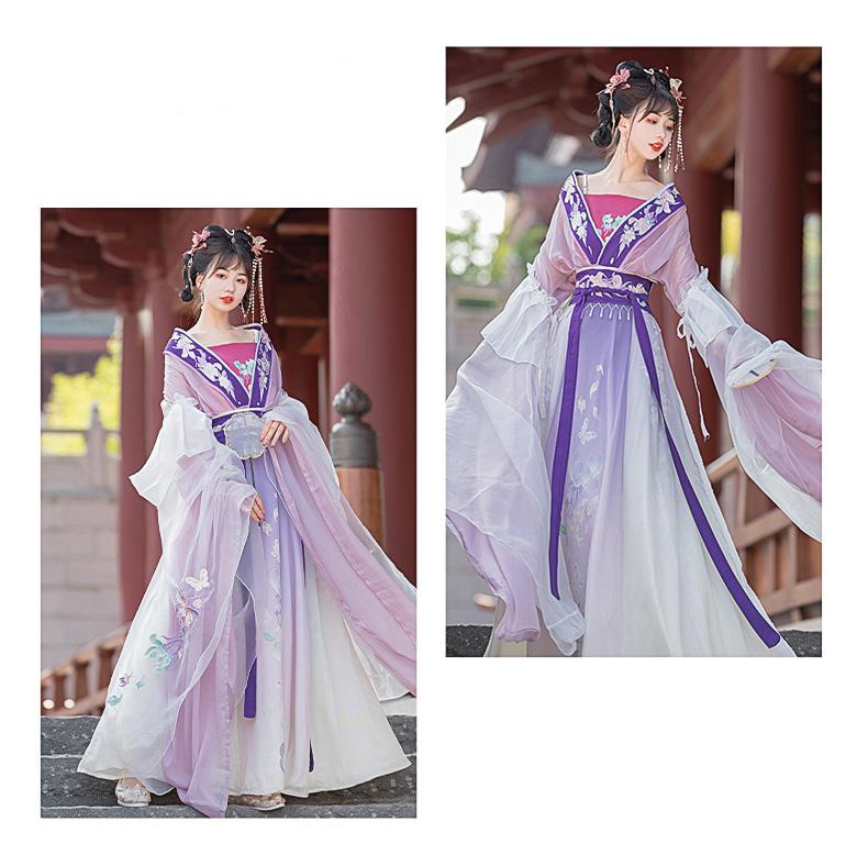 Elegant Tang Dynasty Hanfu Dress – Flowing Chiffon Gown with Embroidered Details