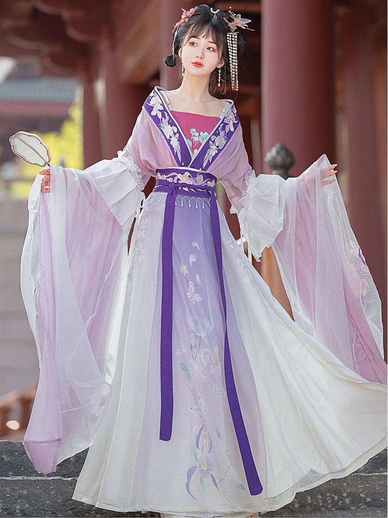 Elegant Tang Dynasty Hanfu Dress – Flowing Chiffon Gown with Embroidered Details