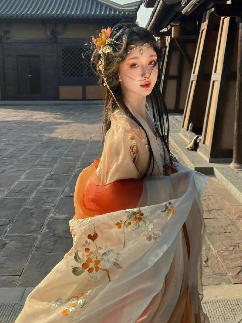 Elegant Floral Embroidered Hanfu Dress - Tang Dynasty Traditional Chinese Gown