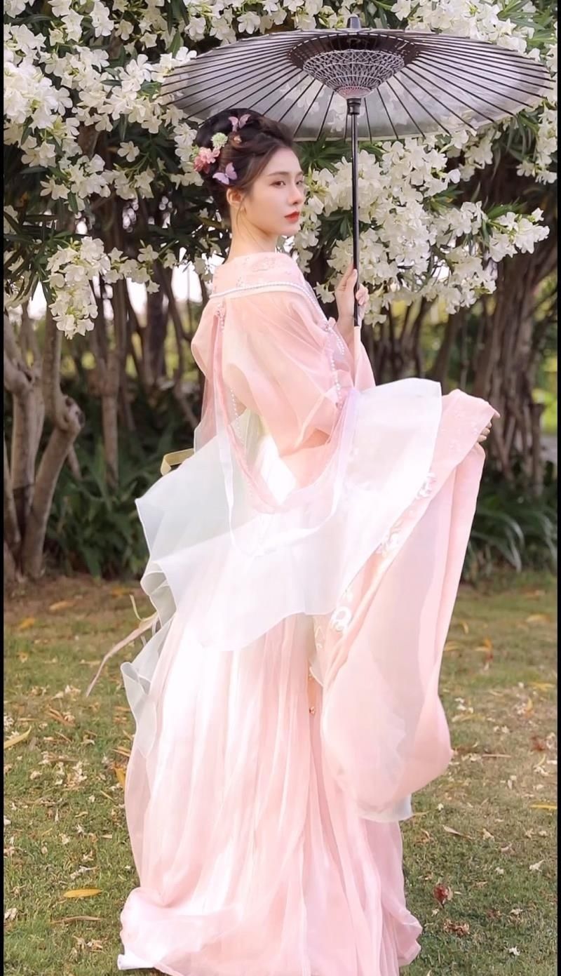 Pink Tang Dynesty Hanfu Dress Traditional Embroidered Floral Design