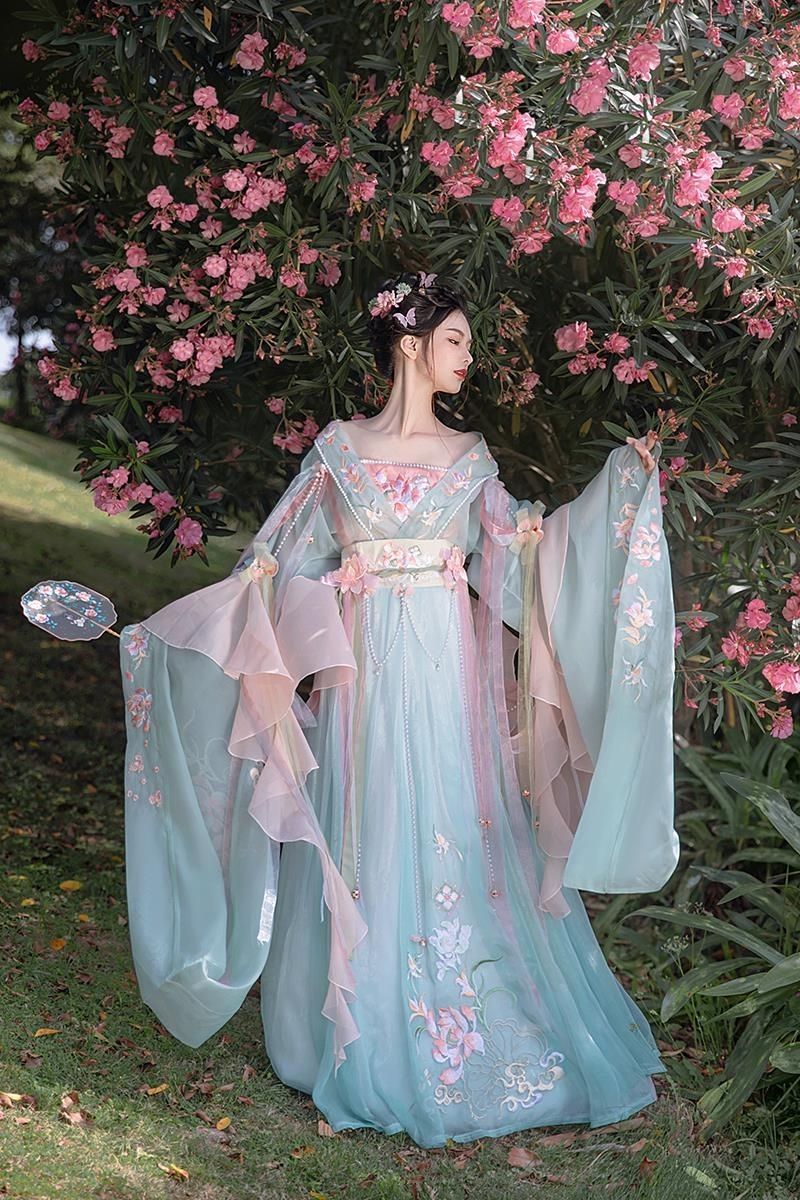 Tang Dynasty Blue Hanfu Dress Traditional Floral Embroidery Dress