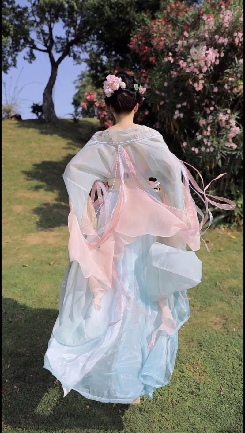Tang Dynasty Blue Hanfu Dress Traditional Floral Embroidery Dress