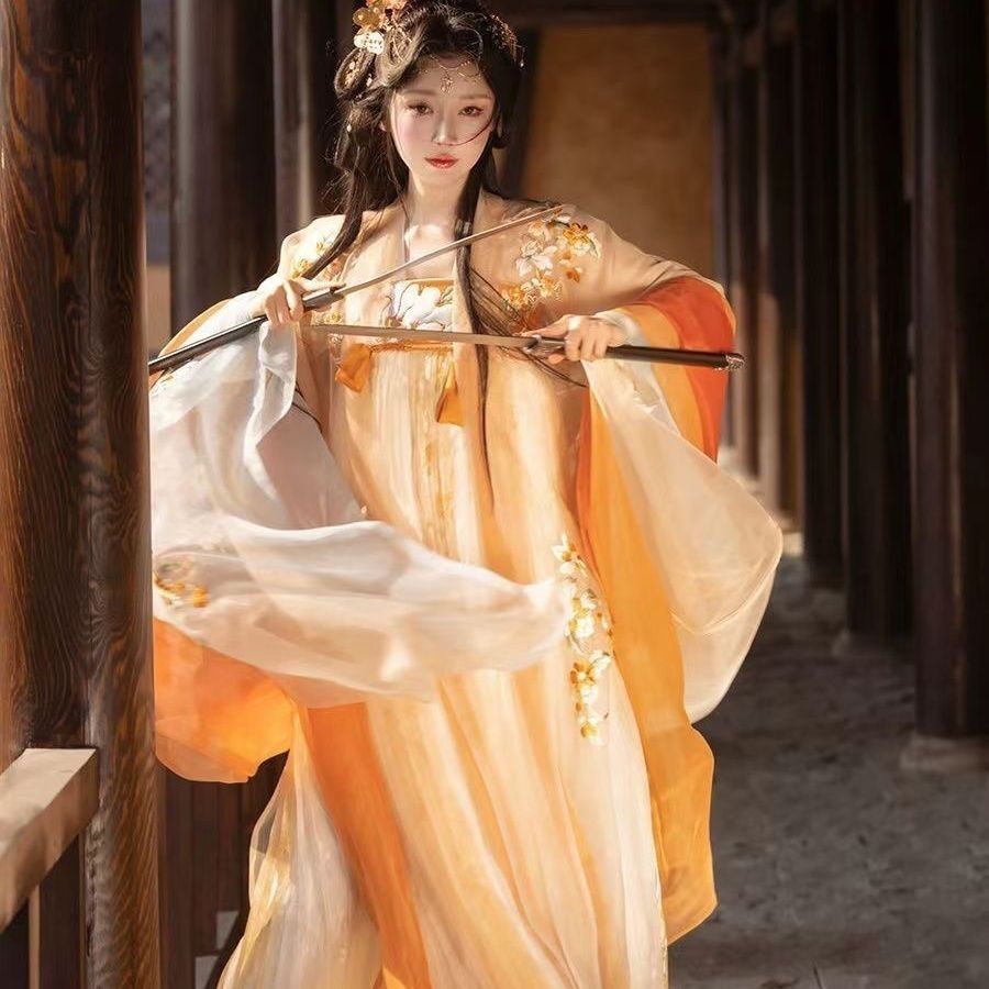 Elegant Floral Embroidered Hanfu Dress - Tang Dynasty Traditional Chinese Gown