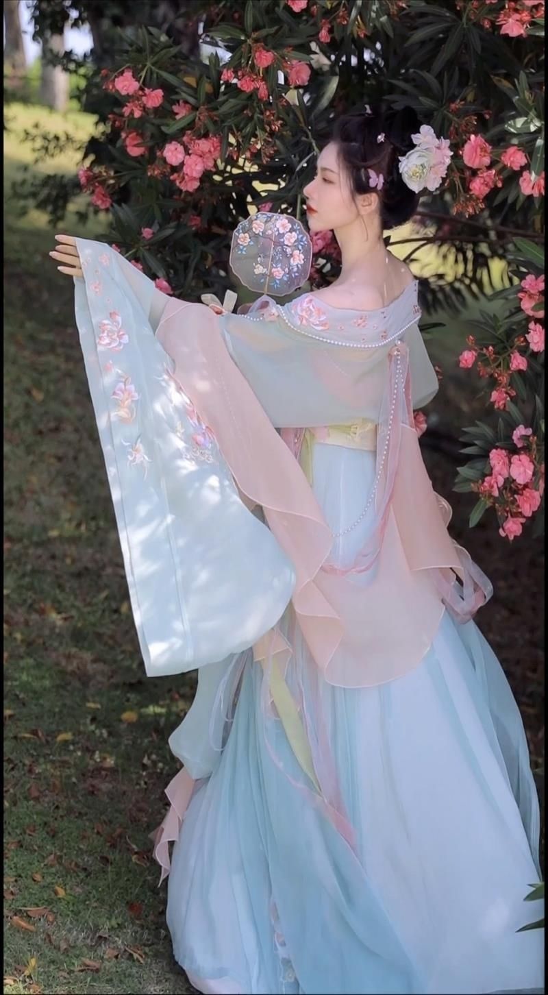 Tang Dynasty Blue Hanfu Dress Traditional Floral Embroidery Dress
