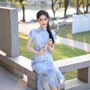 Blue Ink-Shadow Print Sleeveless Qipao Dress | Mandarin Collar Slim Maxi Cheongsam