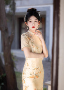天鹅绒黑色碎花旗袍连衣裙优雅晚装风格