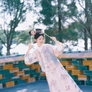 Elegant Traditional Hanfu - Floral Embroidered Robe with Colorful Detailing, Women's Hanfu Costume