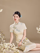 Ivory Blue Floral Embroidered Short Sleeve Qipao Maxi Dress | Mandarin Collar Slit Cheongsam