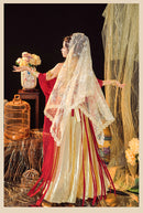 Elegant Red and Gold Belly Dance Costume with Veil and Accessories