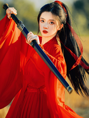 Weijin Red Hanfu Dress Ancient Chinese Dynasty Style Gown