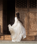 Elegant Wei Jin Dynasty-Inspired Hanfu Dress Set