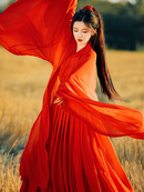 Weijin Red Hanfu Dress Ancient Chinese Dynasty Style Gown