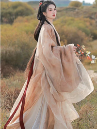 Flowing Floral Hanfu Dress, Elegant Chinese Traditional Robe