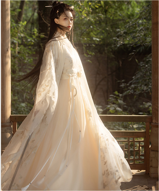 Elegant Wei Jin Dynasty-Inspired Hanfu Dress Set