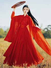 Weijin Red Hanfu Dress Ancient Chinese Dynasty Style Gown