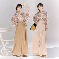 Song dynasty hanfu modified hanfu with plane sleeves