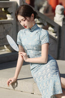Spring Vintage Jacquard Qipao | Chinese Slim Elegant Short Sleeve Dress