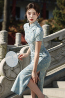 Spring Vintage Jacquard Qipao | Chinese Slim Elegant Short Sleeve Dress