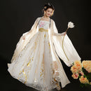 Tang Dynasty Hanfu Dress Elegant Golden Embroidered Flowing Gown