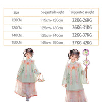 Girls' Hanfu for Chinese New Year