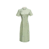 Women's Pastel Green Lace Modern Cheongsam Dress