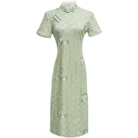 Women's Pastel Green Lace Modern Cheongsam Dress