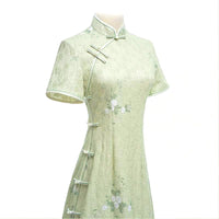 Women's Pastel Green Lace Modern Cheongsam Dress