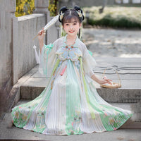 Beautiful Girls' Tang Dynasty Clothes Dress