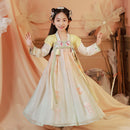 Girls Embroidery Dress Hanfu Traditional Chinese Dress