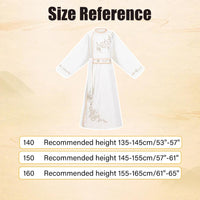 Boys' Hanfu Male Dress - Traditional White Embroidered Costume