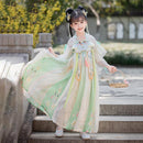 Beautiful Girls' Tang Dynasty Clothes Dress